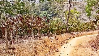 Efek elnino di Sumatera