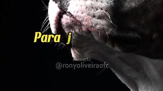motivaçaodiaria