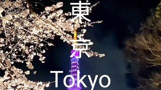 Mau ke Tokyo, Yamaguchi atau Chiba?