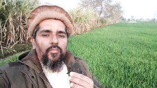 My Second Vlog /My village Vlog on Youtube || Iftikhar Sargana || ifi vlogs