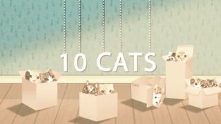 Cute cat video ! Cute cat funny video