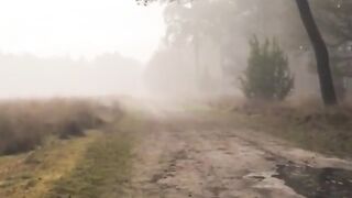 A village wiew