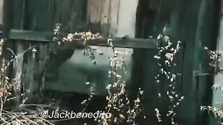 Motivaçaodiaria