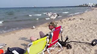 Sorry, NOT SORRY! - EPIC BIRD FAILS ???????? Funny Animal Fails Of The Week | AFV 2023