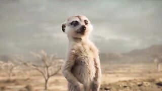 New Comedy video latest fun 2023