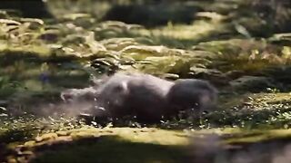 New Best Cartoon latest funny Stories 2023