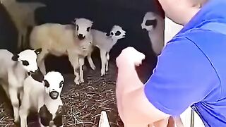 Cutest