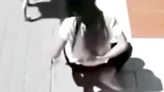 Funy pets8 #virl#video#pet....