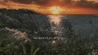 Best video