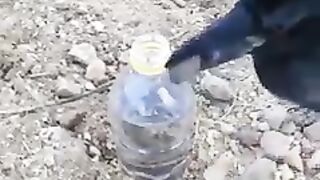 Funny thirsty Bird video