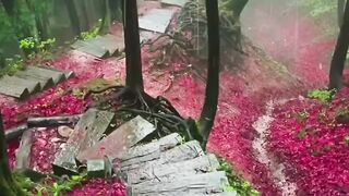 beautiful scenery snow falling
