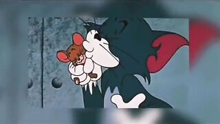 tom and jarry carton lovely scene