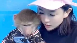 scared monkey funny video