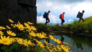 Beautiful place and beautiful flowers