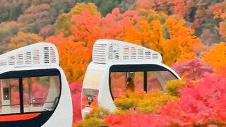romantic place