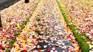 Most beautiful place