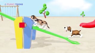 Adventures_of_cat_and_dog_on the playgroound