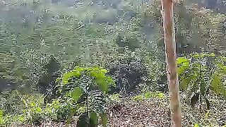 Kebun kopi 2