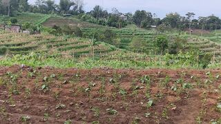 enjoy the natural beauty under the hill