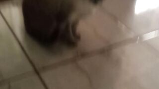 Romeu 3