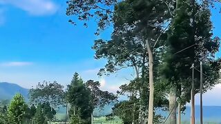 A beautiful view 5