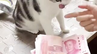 Funy Video 63