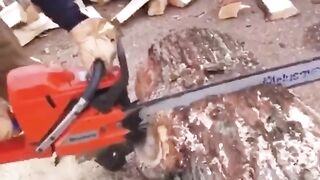 Funy Video 66