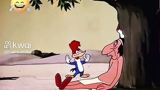 Pica -pau 5