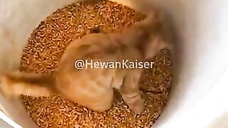 Vídeo satisfatório 2