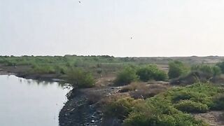 Early morning beautiful video