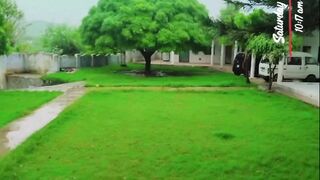 Beautiful Green area
