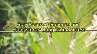 Stay Focused: Patience and Consistency Bring True Success