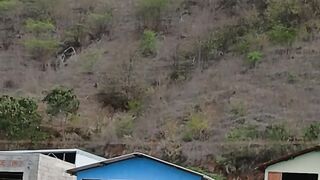 aimores minas gerais brazil