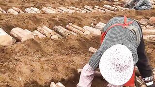 The brilliant reason why Chinese farmers bury logs underground