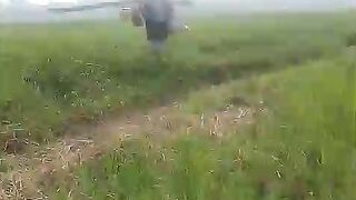 Pemompa air