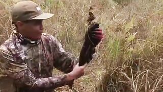 Strike ikah gabus monster / Monster snakehead strike