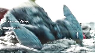 short story movie 7