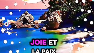 Bon Dimanche