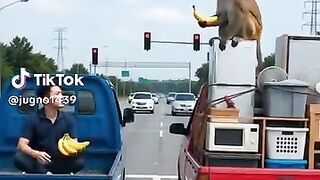 Banana 11