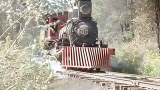 *حاولوا إنقاذ الحصان من الماء… لكن ما حدث بعدها كان صادمًا!