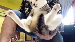 kocak 3