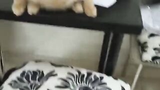 lagi santai kawannn