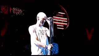 R.E.M