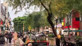 A comfortable tourist city