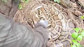 Dicari keberadaan nya