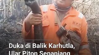 Korban kebakaran hutan