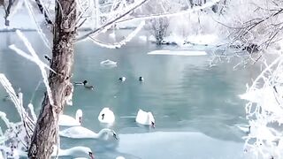 Keindahan alam Negeri Dongeng Di Yili Spring Park