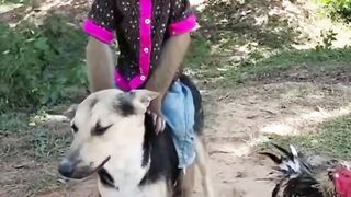 Monkey and the Dog