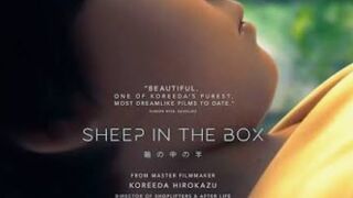 Sheep in the Box 2026 720p WEB-DL ESub