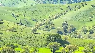Serene Mountain Meadows 🏞️✨